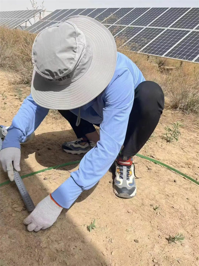 1727683798156248.jpg 22.jpg