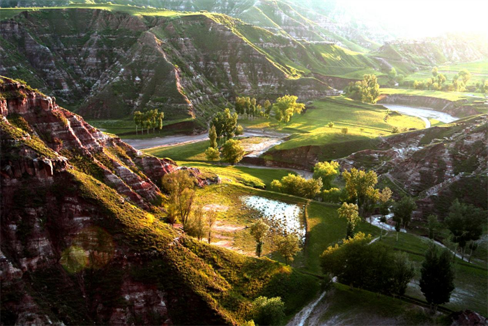 1730259299184950.png 111.png