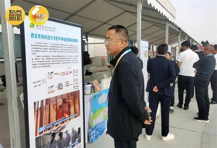 1730346435527397.jpg 640 (3).jpg