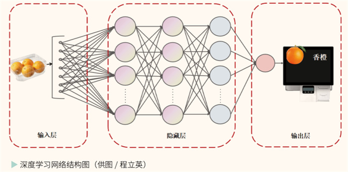 1730879414115084.jpg 2.jpg