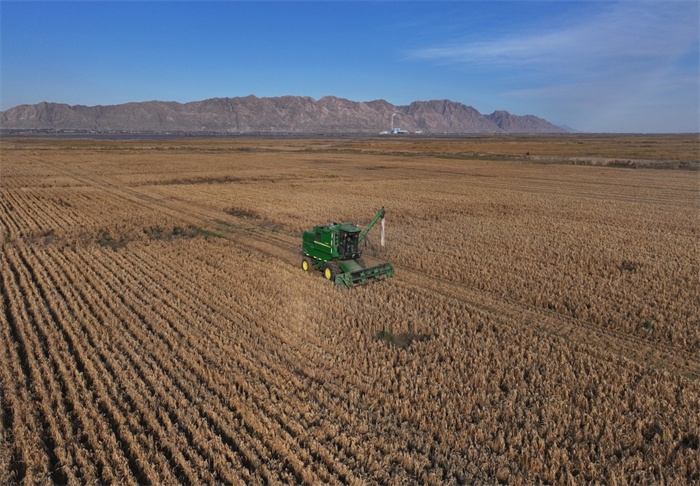 1730880733149320.jpg 3.jpg