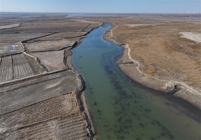 1730880740195364.jpg 4.jpg