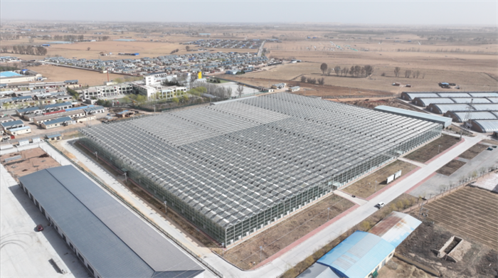 1747968663553388.png 1.png