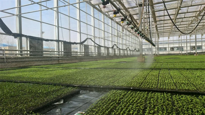 1747968678102501.png 4.png