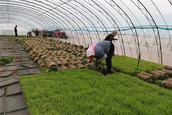 1748589097261504.jpg 222.jpg